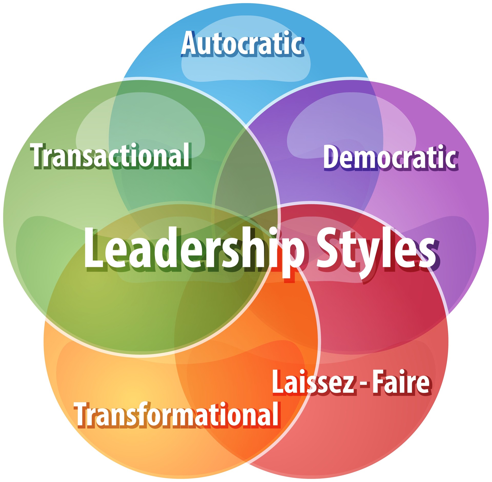 Leadership styles business diagram illustration